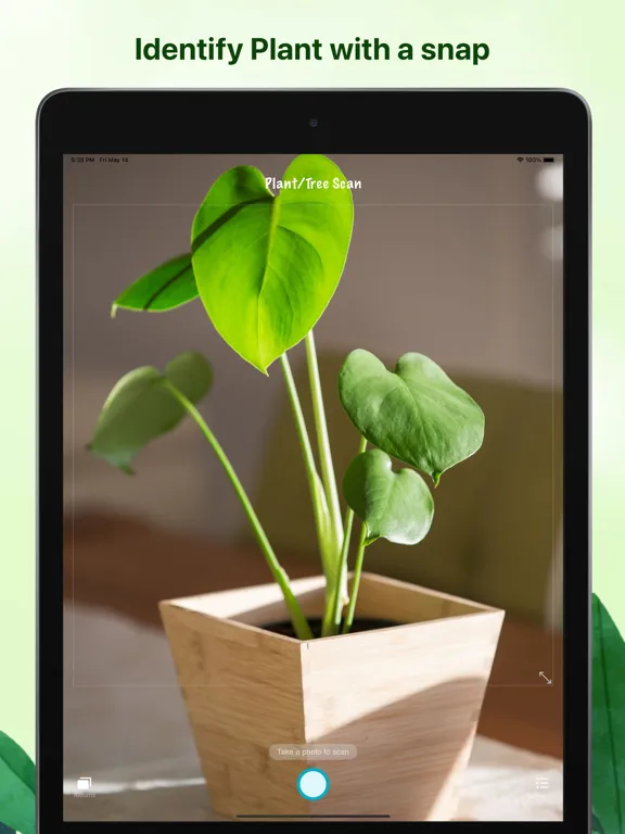 Weed identification leaf snap iPad  স্ক্রিনশট