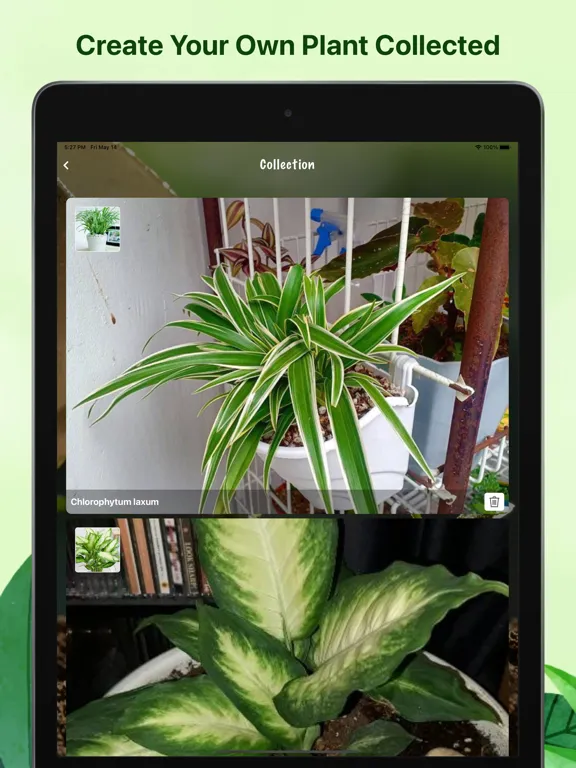 Weed identification leaf snap iPad  স্ক্রিনশট