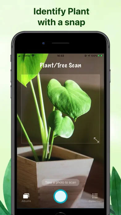 Weed identification leaf snap স্ক্রিনশট