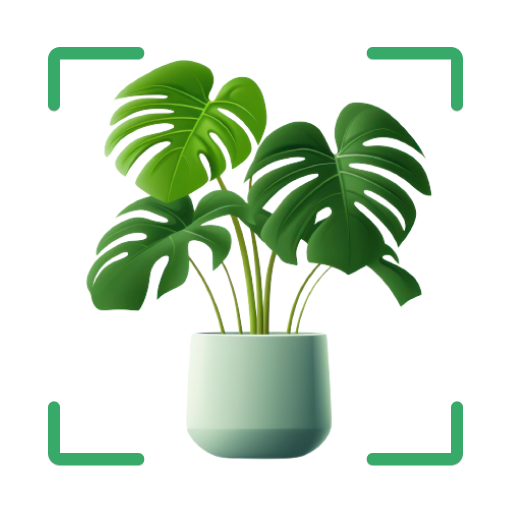 Plant Identifier Plant Identifier