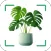 Plant Identifier