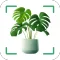 Plant Identifier