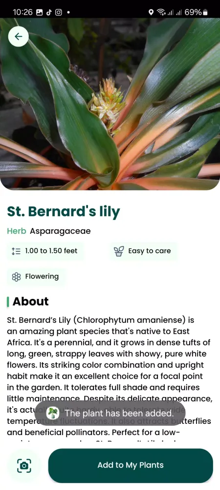 Plant Identifier 스크린샷