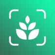 PlantAi App - Plant identifier