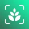 PlantAi App - Plant identifier