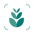 Plant identifier care guide