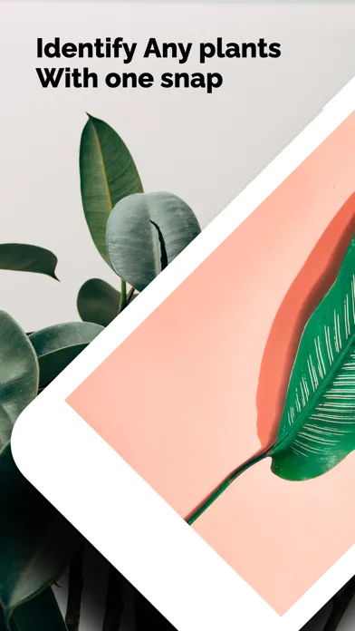 صور Plant identifier care guide