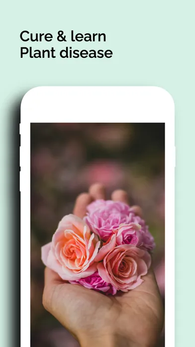 صور Plant identifier care guide