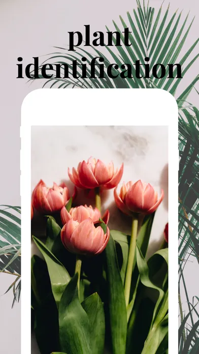 صور Plant identifier care guide