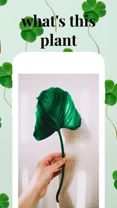 صور Plant identifier care guide