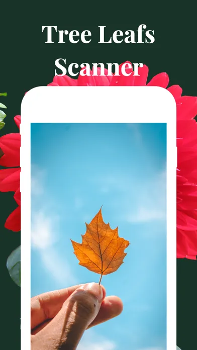 صور Plant identifier care guide
