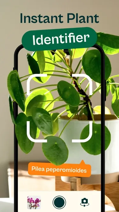Captures d'écran de Plant: Identifier & Diagnostic