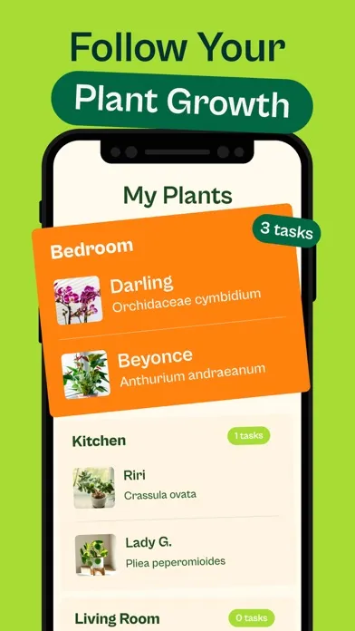 Captures d'écran de Plant: Identifier & Diagnostic