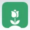Plant Doctor Identifier Care