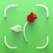 Plant, Flower, Weed Identifier