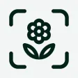 Planto: Plant Identifier Planto: Plant Identifier