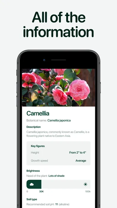 Capturas de tela do Planto: Plant Identifier