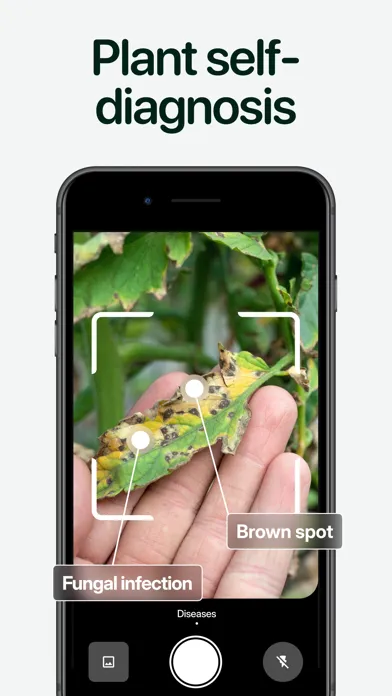 Capturas de tela do Planto: Plant Identifier