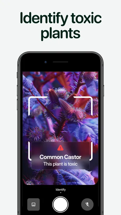 Capturas de tela do Planto: Plant Identifier