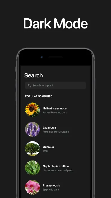 Capturas de tela do Planto: Plant Identifier