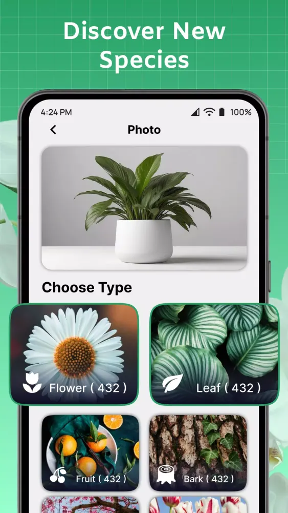 ภาพหน้าจอของ ePlant - Ai Plant Identifier