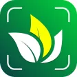 AI Plant Identifier: Flower ID