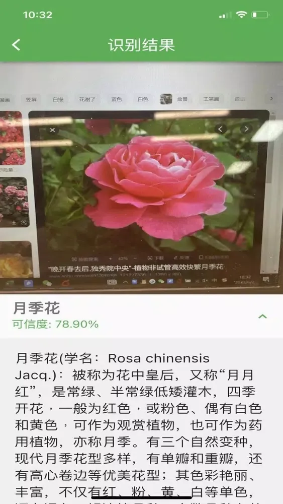 Identify plants-Identification应用截图