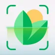 Plantology: Plant Identifier