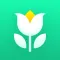 Plant Parent