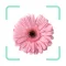 Plantr - Plant Identifier app