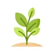Planty: Water plant Planty: Water plant