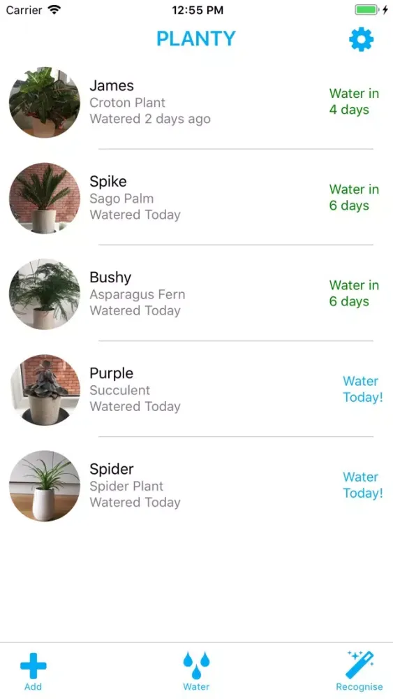 Tangkapan layar Planty