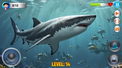 Angry Shark Simulator Games 3d سکرین شاٹس