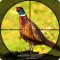 Pheasant Bow Hunting Safari