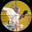 Birds of Prey: Wild Wings Hunt