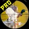 Jungle Birds Shooter Pro