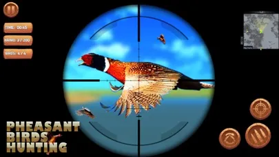 Capturas de tela do Pheasant Bird Hunting 18