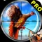 Pheasant Bird Hunting Pro