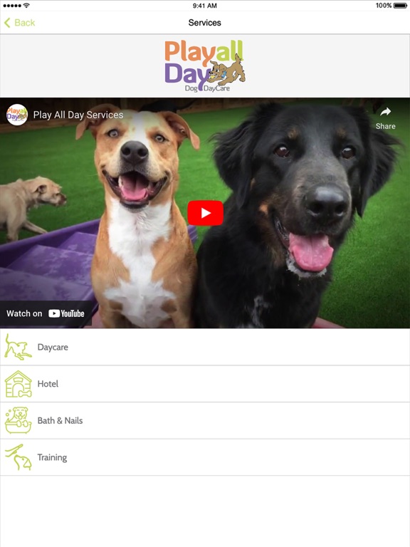 Play All Day Doggie Daycare iPad  Screenshots