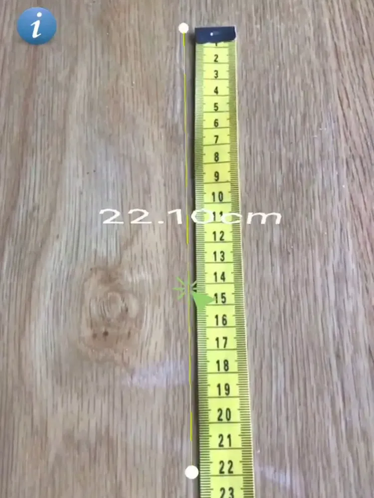 Tangkapan skrin AR Ruler iPad 