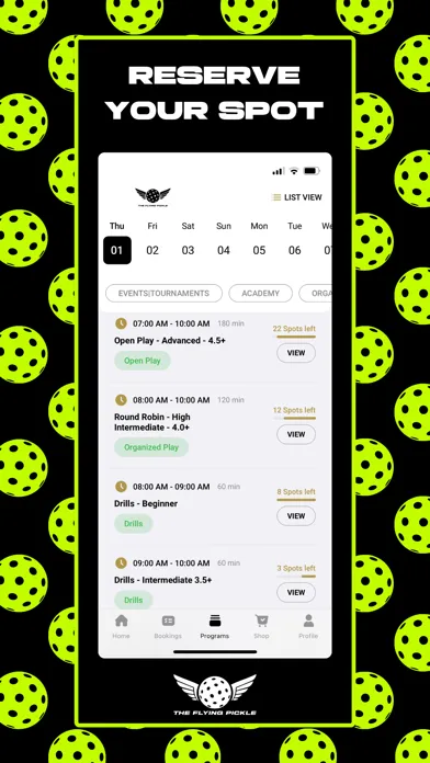 The Flying Pickle স্ক্রিনশট