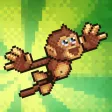 Monkey Swingers Monkey Swingers