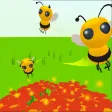 Honey city