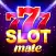 Slot Mate