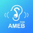 AURALBOOK for AMEB Grade 1-8