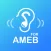 AURALBOOK for AMEB Grade 1-8