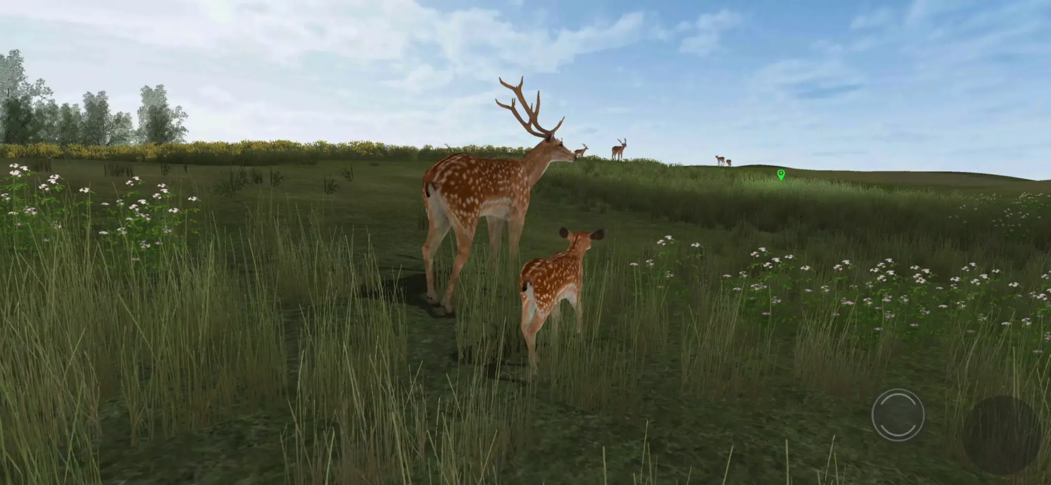 Скриншоты Life Of Deer Remastered