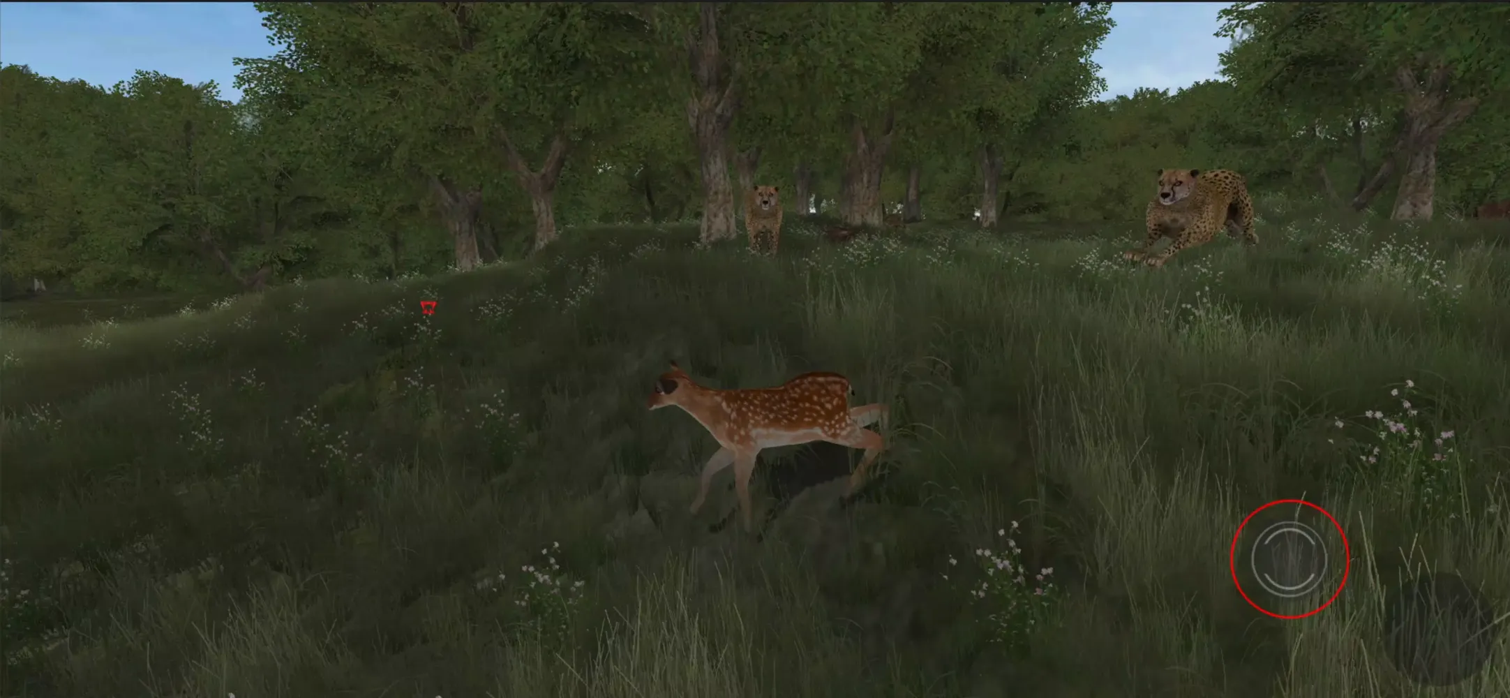 Скриншоты Life Of Deer Remastered