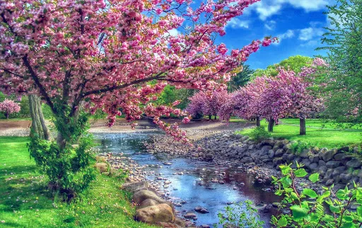 صور Smart HDR