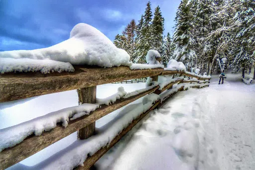 صور Smart HDR